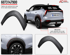 Ceja de Guardafango Trasero (Tipo 3) - Geely Starray