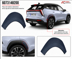 Ceja de Guardafango Trasero (Tipo 2) - Geely Starray