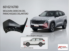 Panel Decorativo de Defensa Delantera - Geely Starray