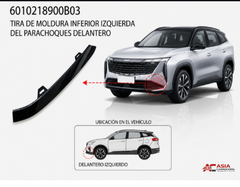 Moldura Inferior de Defensa Delantera Negro (Tipo 1) - Geely Starray