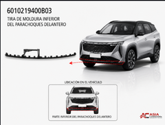 Moldura Inferior de Defensa Delantera Negro (Tipo 2) - Geely Starray