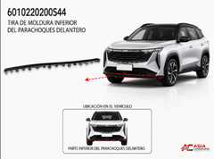 Moldura Inferior de Defensa Delantera Plata (Tipo 2) - Geely Starray