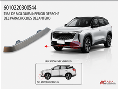 Moldura Inferior de Defensa Delantera Plata (Tipo 1) - Geely Starray