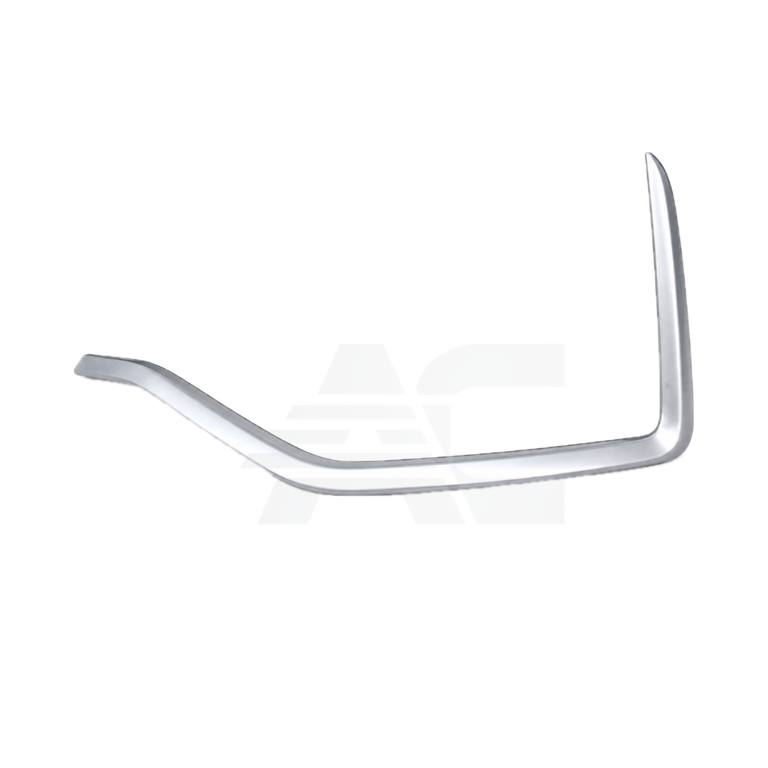 Moldura del parachoques delantero (63A61A389-03)