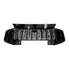 Parrilla delantera completa (63B45A143)