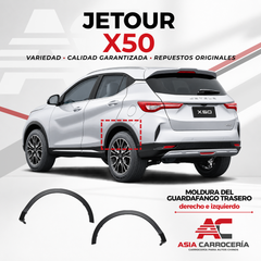 Moldura de guardafango trasera (65J01R023)