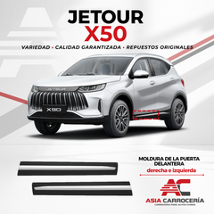 Moldura de puerta delantera (65R29R032)