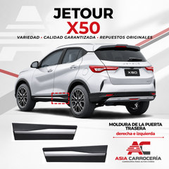 Moldura de puerta trasera (65R29R033)